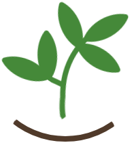 Fresh Business Ideas